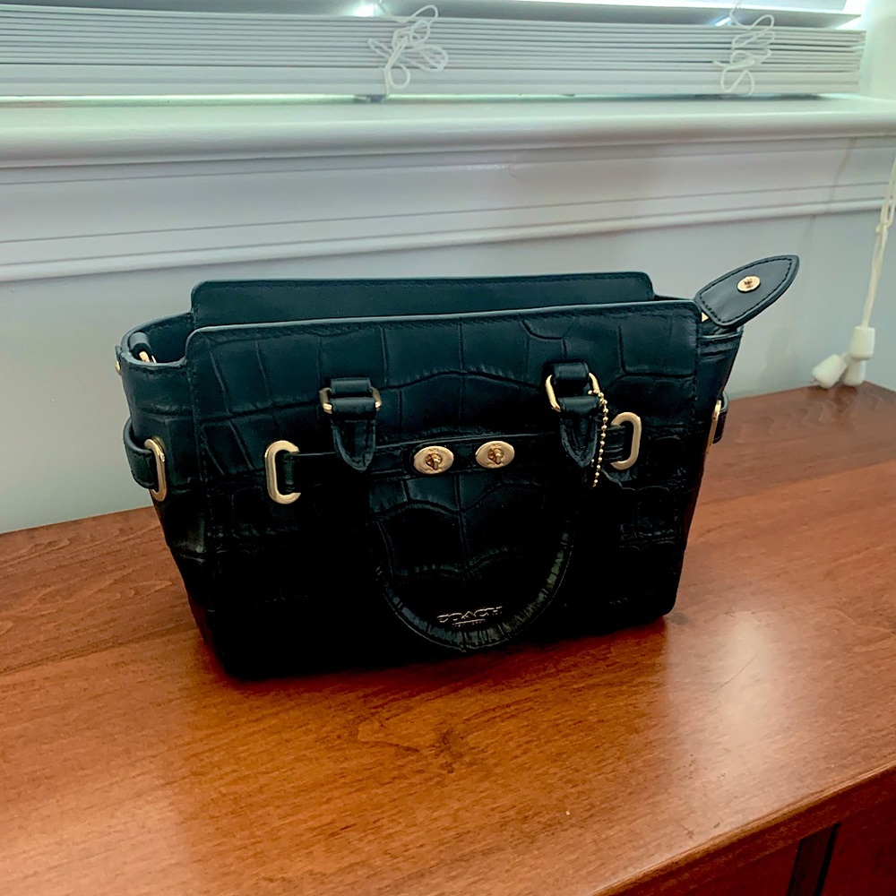 COPY - Embossed Crocodile Coach Mini-bag
